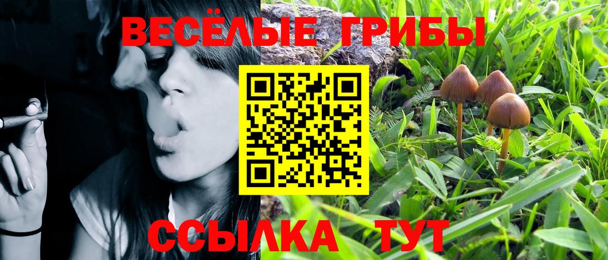 Галлюциногенные грибы мухоморы Михайловск