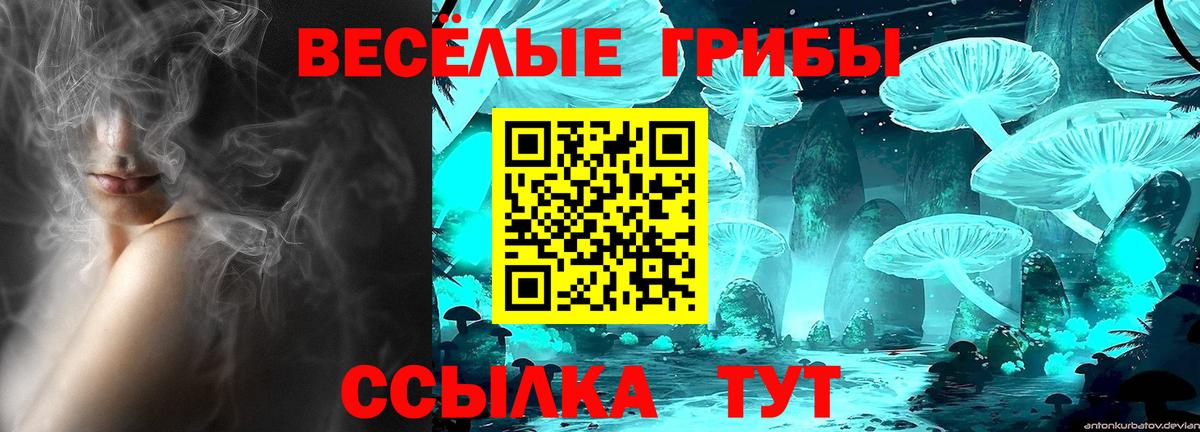 Михайловск  Галлюциногенные грибы Psilocybine cubensis  купить наркотик  Вход с VPN 
